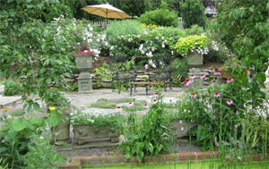 SurreyBrooke image