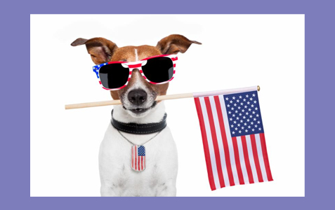 Happy Fourth of July!
