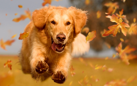 Energize for Autumn!