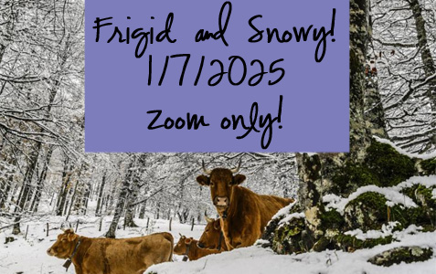 Frigid Snowy Morning 1/7/25