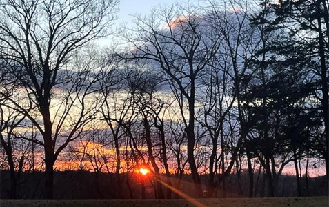 New Year….inspiration awaits!
