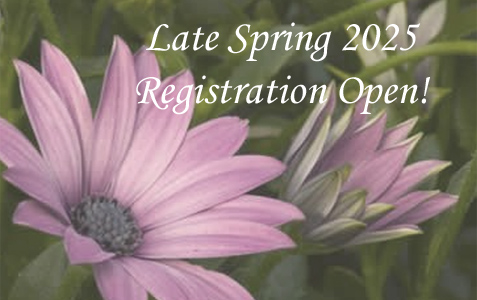 Late Spring registration!