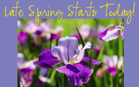 2025_0429_LateSpring Late Spring 2025 starts today!