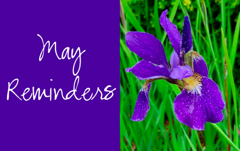 May Reminders