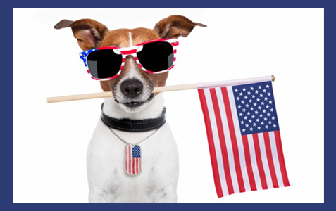 Happy Fourth of July!