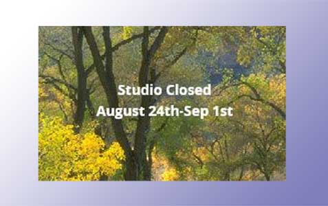 Studio Summer Break