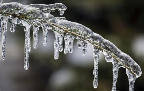 Welcome Winter!
