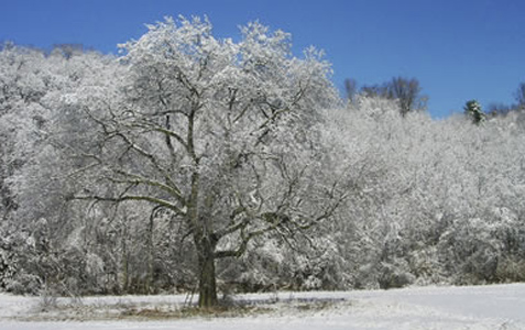 Winter Registration Open!