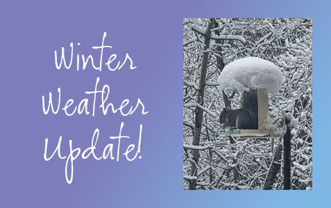 Winter Weather Update!