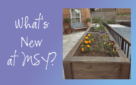 What’s New at MSY?
