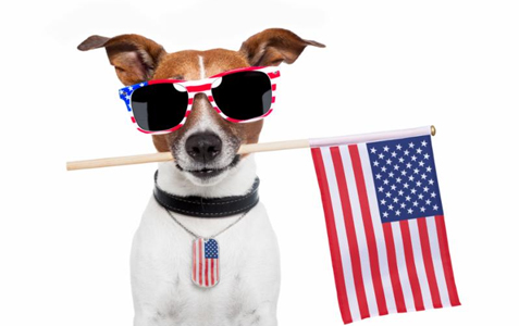 Happy Birthday USA!