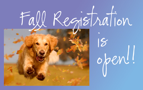 2026_0817_FallRegOpen Fall Registration Opens