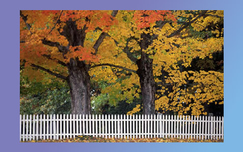 Fall Studio Updates